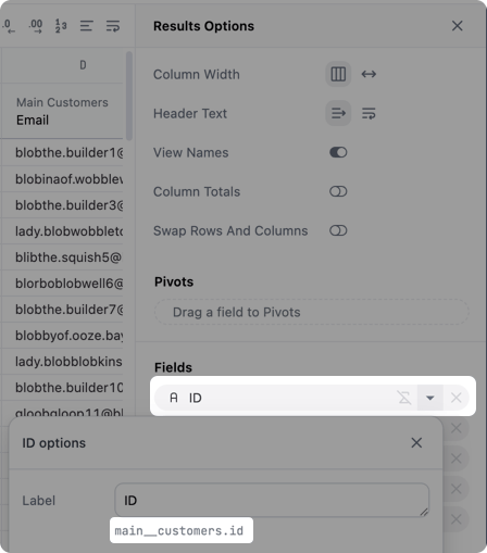 Using the query results panel to locate the names of a view and field